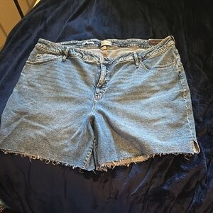 Denim Blue Women's Shorts